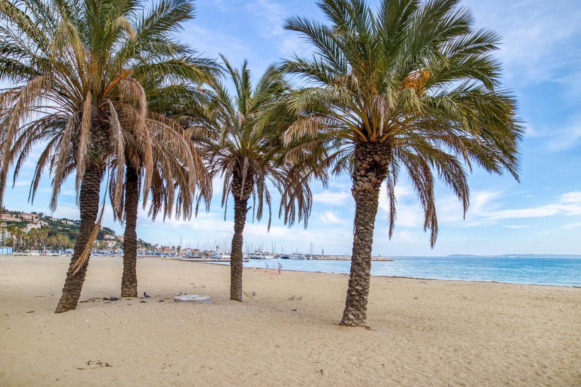 Nouvelle Ere - Appt A Moins D'Un Km De La Plage Le Lavandou Kültér fotó